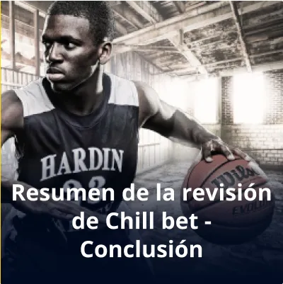 resumen de la revisión de Chillbet